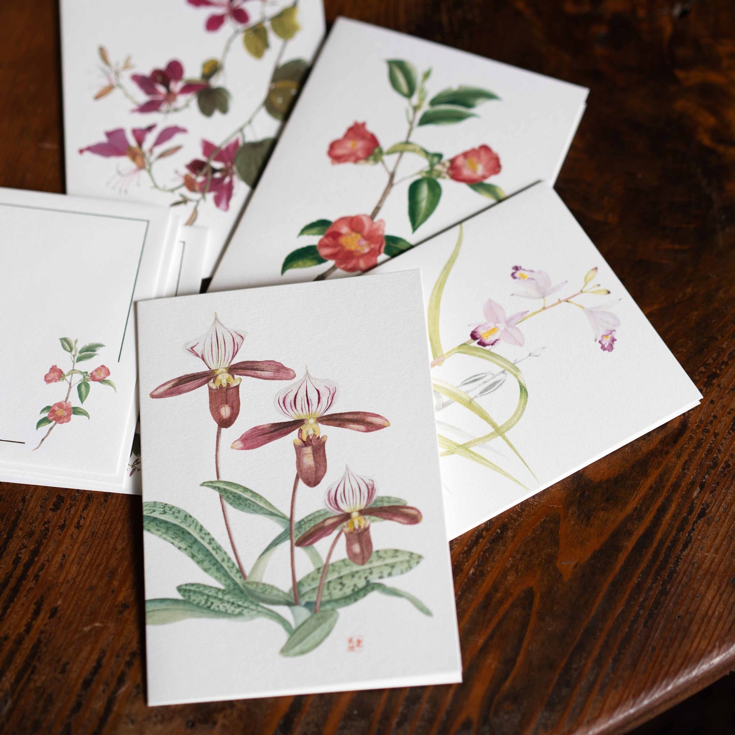 グリーティングカード4種『ボタニカル・イラストレーション』