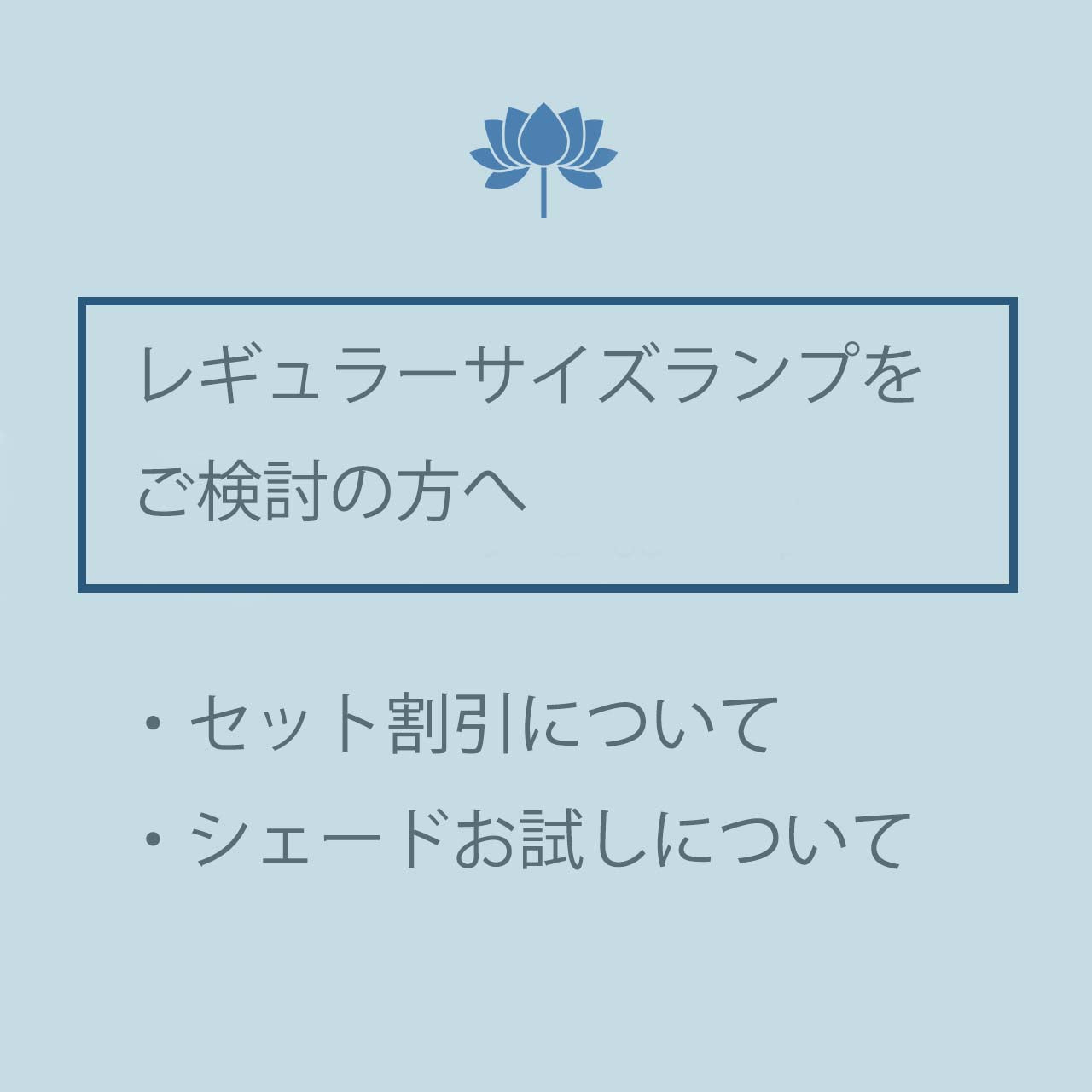 レギュラーランプのご注文前に